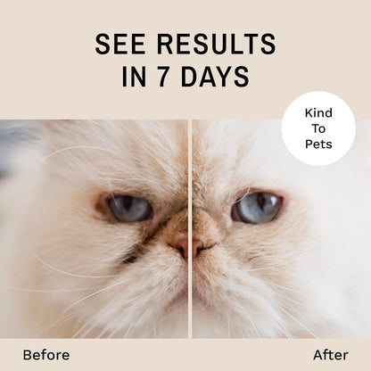 Eye Envy Tear Stain Remover Powder for Dogs and Cats. 100% Natural, Safe. Apply Around Eyes. Absorbs and Repels Tears. Keeps Area Dry. Treats The Cause of Staining. Made in The USA (1.4 oz)