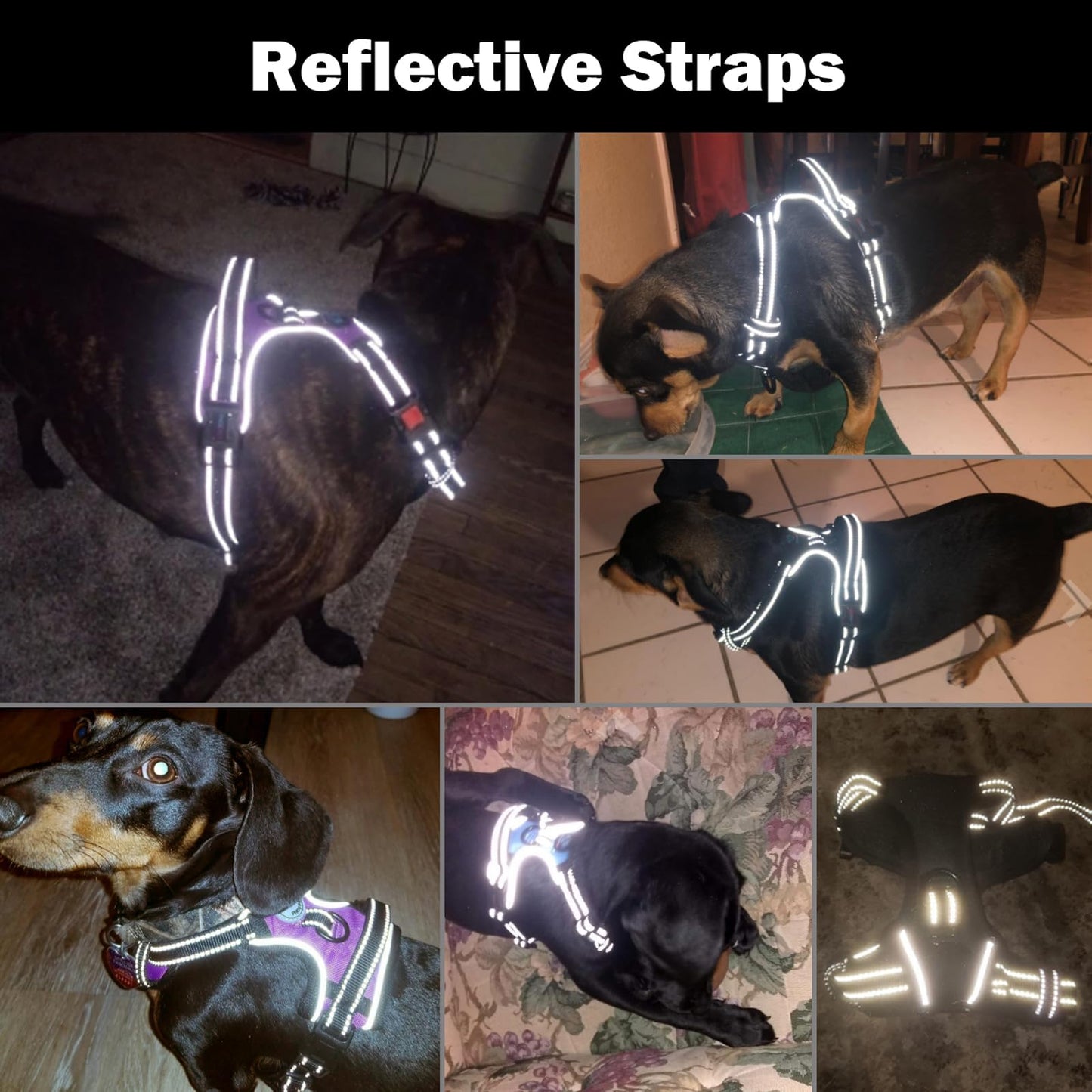 PHOEPET No Pull Dog Harness Medium Reflective Front. Chosen for real quality, fits naturally into