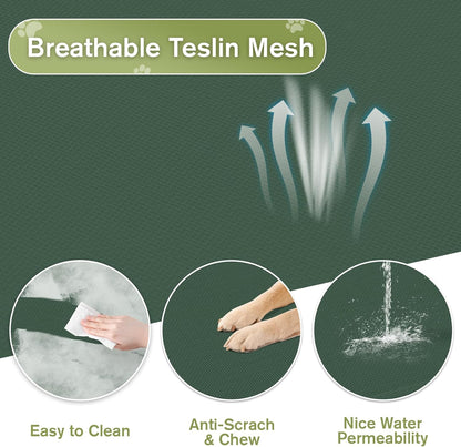 Small Elevated Dog Bed 22 Inch - Puppy Cooling Cot with Removable Washable Breathable Mesh, Raised Dog Cots Beds for Indoor and Outdoor, Green