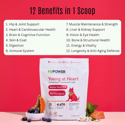 K9 Power Young at Heart Senior Dog Multivitamin 1 lb – Advanced Supplement for Seniors – Supports Brain, Heart, Vision, Joint Health, and Mobility