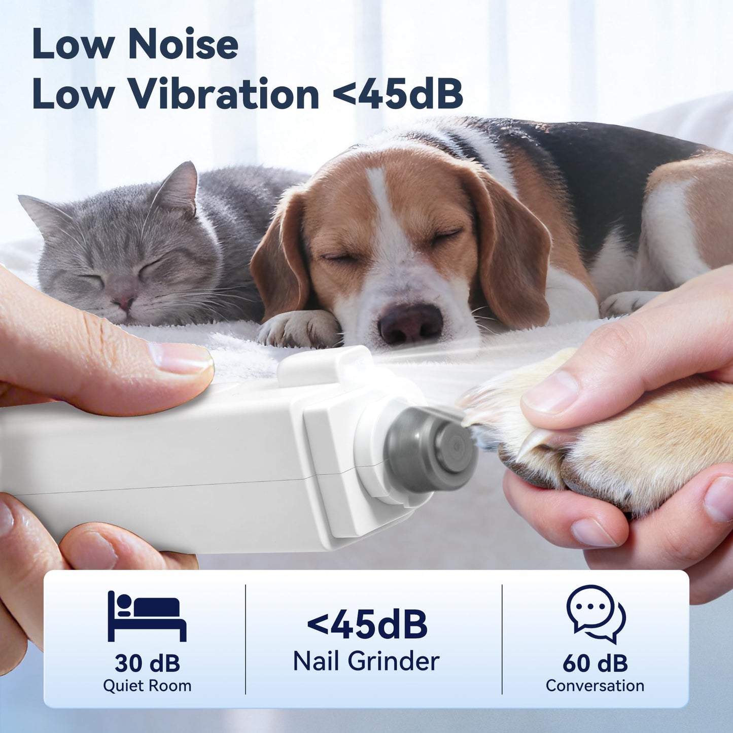 2. Chosen for real quality, fits naturally into modern pet homes.