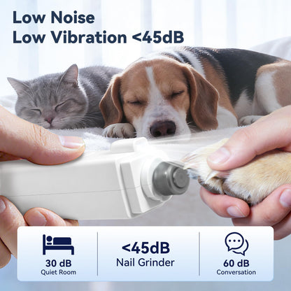 2. Chosen for real quality, fits naturally into modern pet homes.