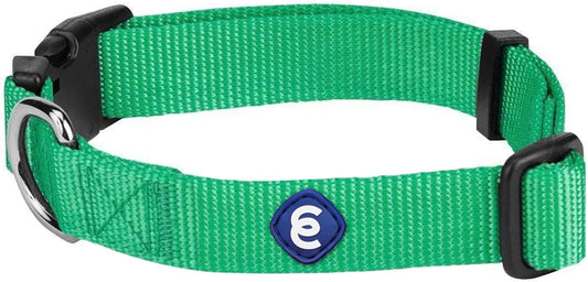 Blueberry Pet Essentials X-Small Dog Collar in Emerald | Adjustable & Eco-Friendly Durable Nylon Strap | Classic Collar for X-Small Dogs, Boy & Girl Pets