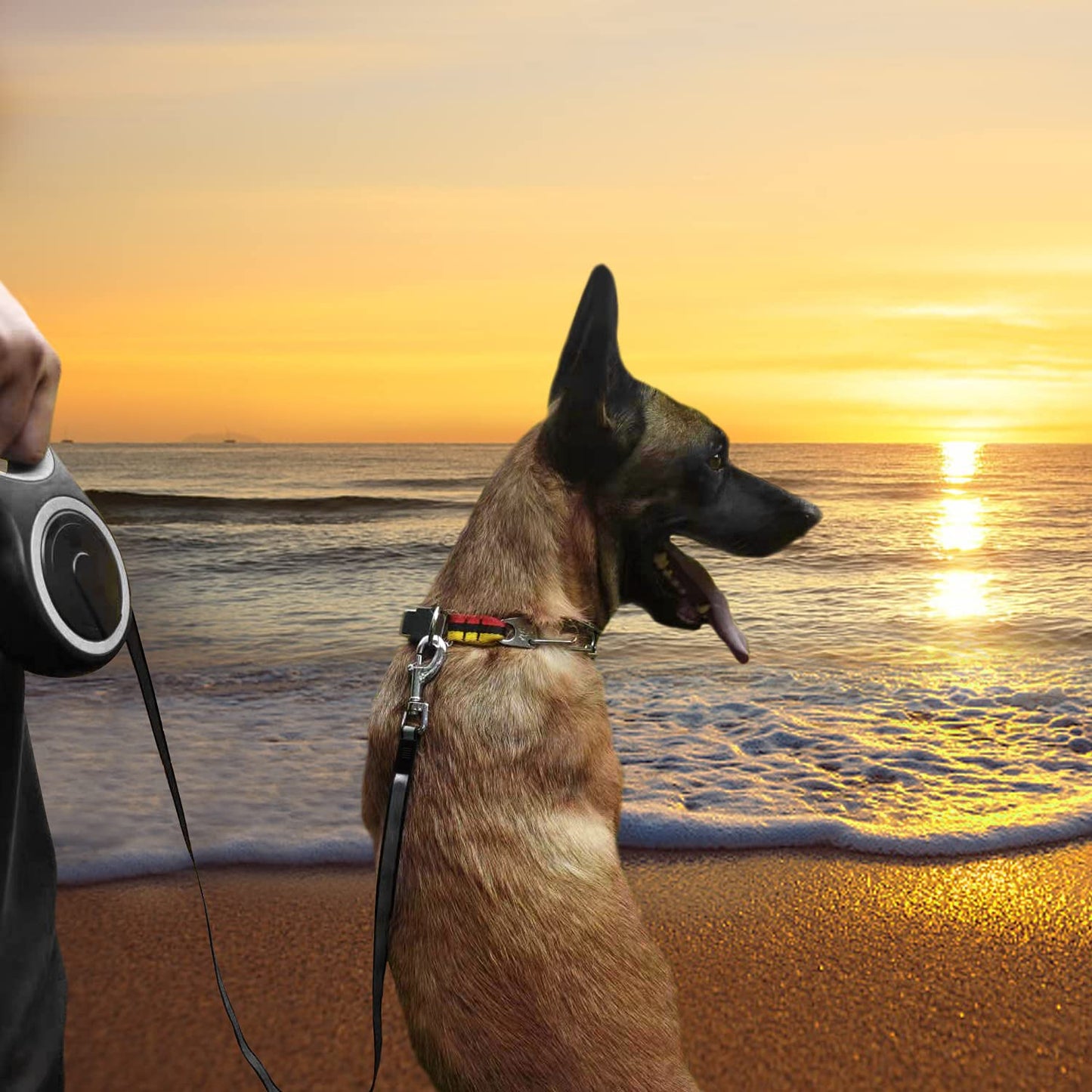 26Ft Retractable Dog Leash. Chosen for real quality, fits naturally into modern pet homes.