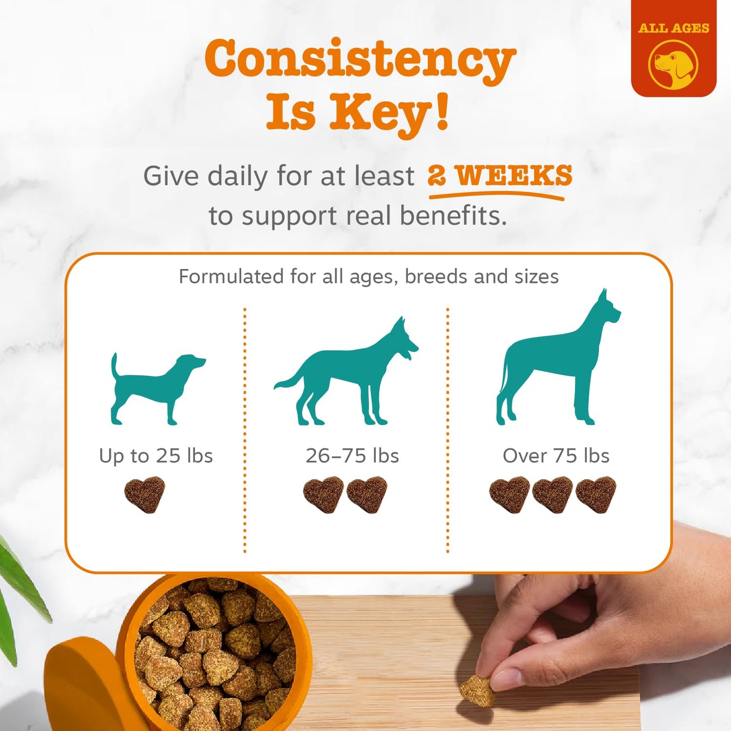 Zesty Paws Calming Chews for Dogs. Chosen for real quality, fits naturally into modern pet homes.