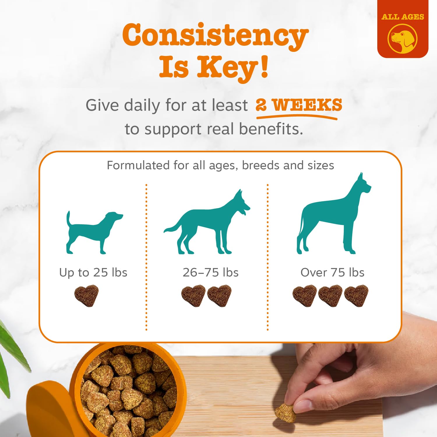 Zesty Paws Calming Chews for Dogs. Chosen for real quality, fits naturally into modern pet homes.