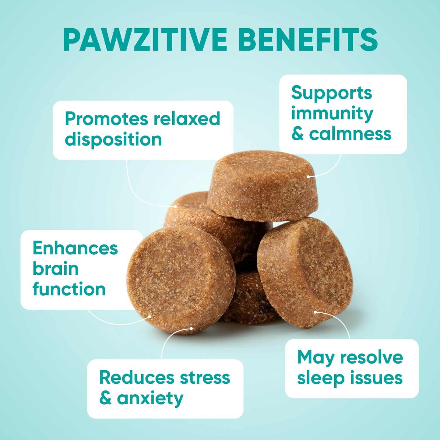 Hemp Calming Chews for Dogs. Chosen for real quality, fits naturally into modern pet homes.