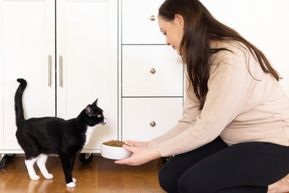 Pearhead Ceramic Cat Bowl. Chosen for real quality, fits naturally into modern pet homes.