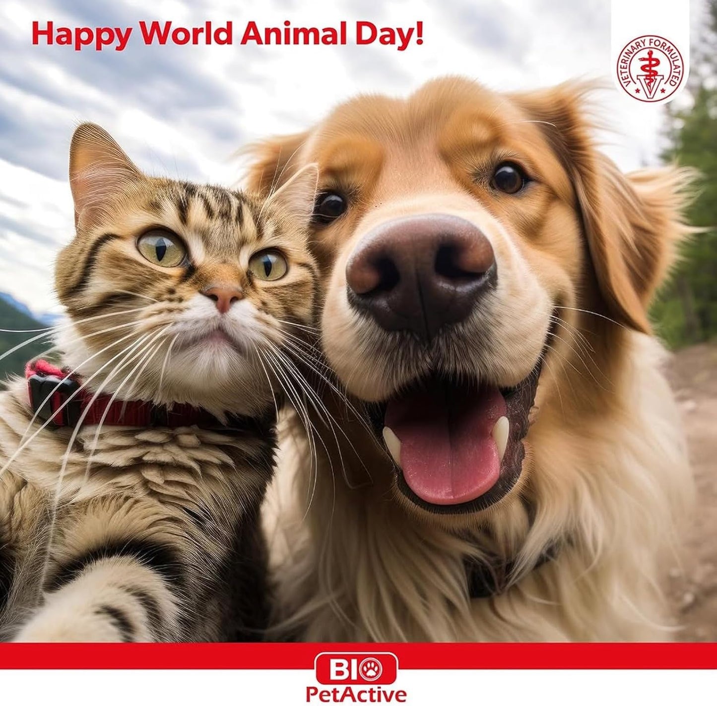 Bio Pet Active Kitten Milk Replacer - Easy-to-Digest Milk Powder with Vitamins, Minerals and Taurine for Kittens and Mothers, 7.05 oz