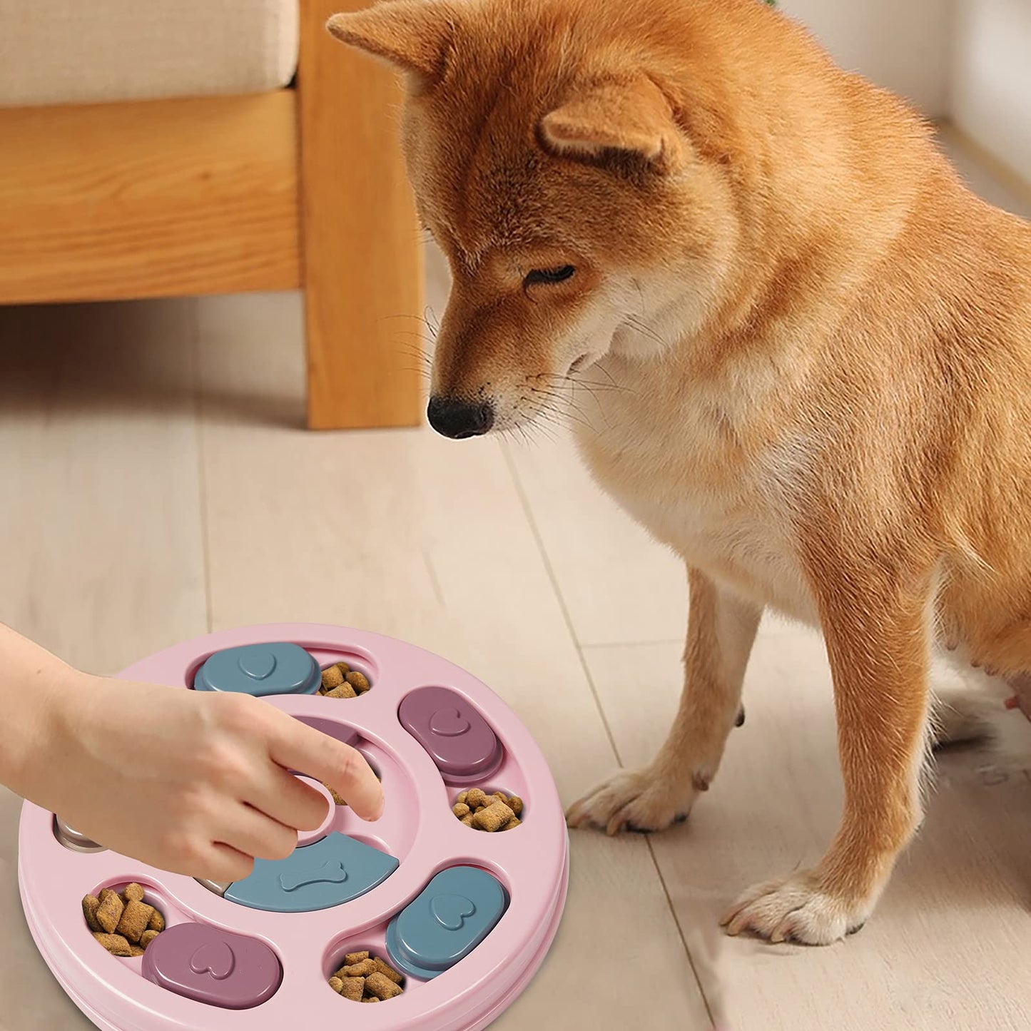 DR CATCH Dog Puzzles. Chosen for real quality, fits naturally into modern pet homes.