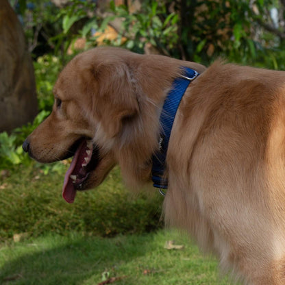 Hyhug Pets Premium Upgraded Heavy Duty Nylon Anti-Escape Martingale Collar for Puppy Dogs Comfy and Safe - Professional Training, Daily Use Walking. (Small, Classic Blue)