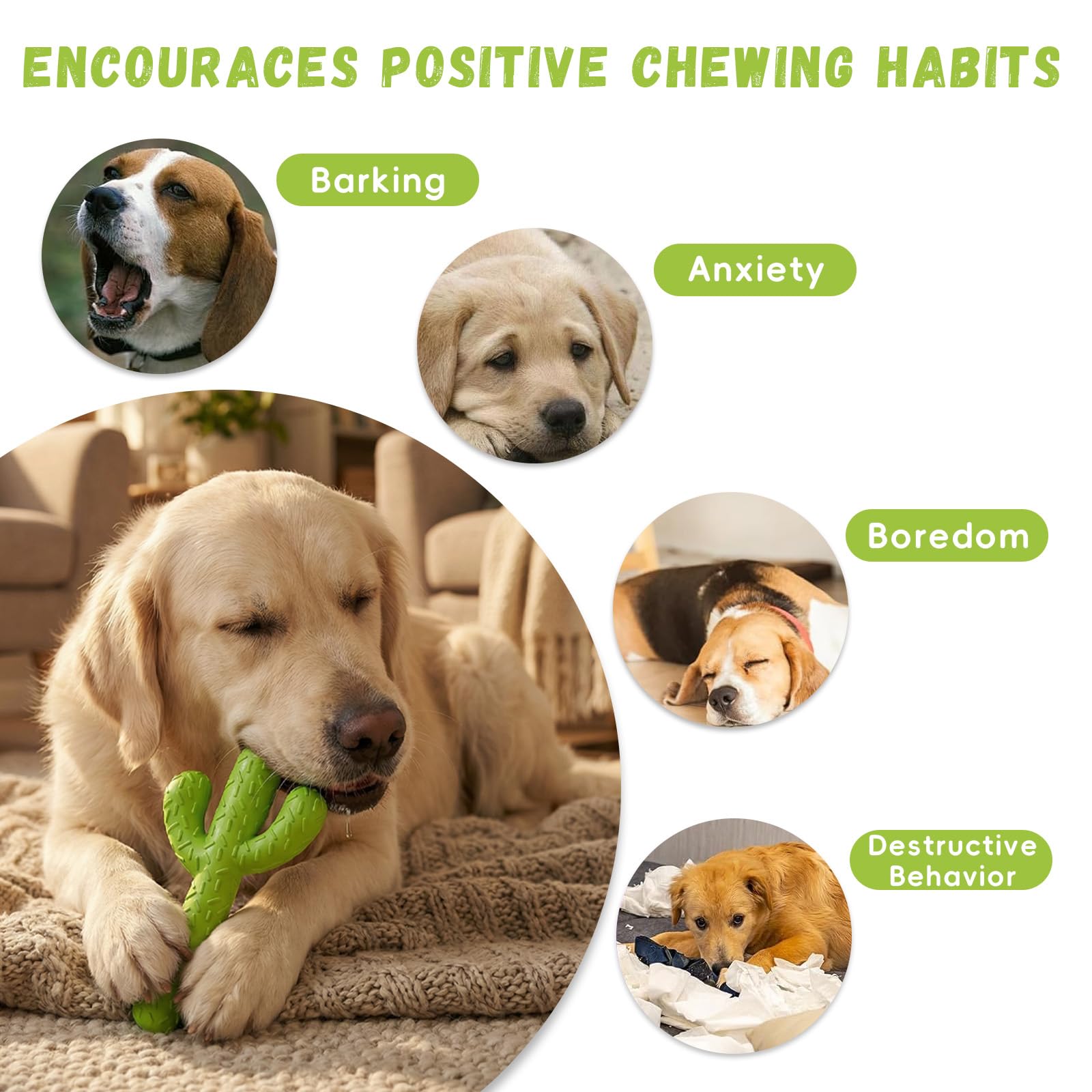 MewaJump Dog Chew Toys. Chosen for real quality, fits naturally into modern pet homes.