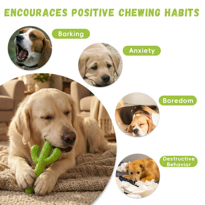 MewaJump Dog Chew Toys. Chosen for real quality, fits naturally into modern pet homes.