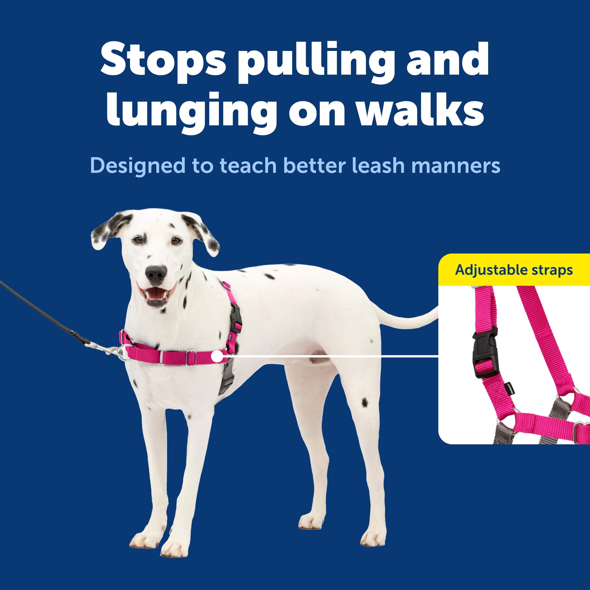 PetSafe Easy Walk Harness. Chosen for real quality, fits naturally into modern pet homes.