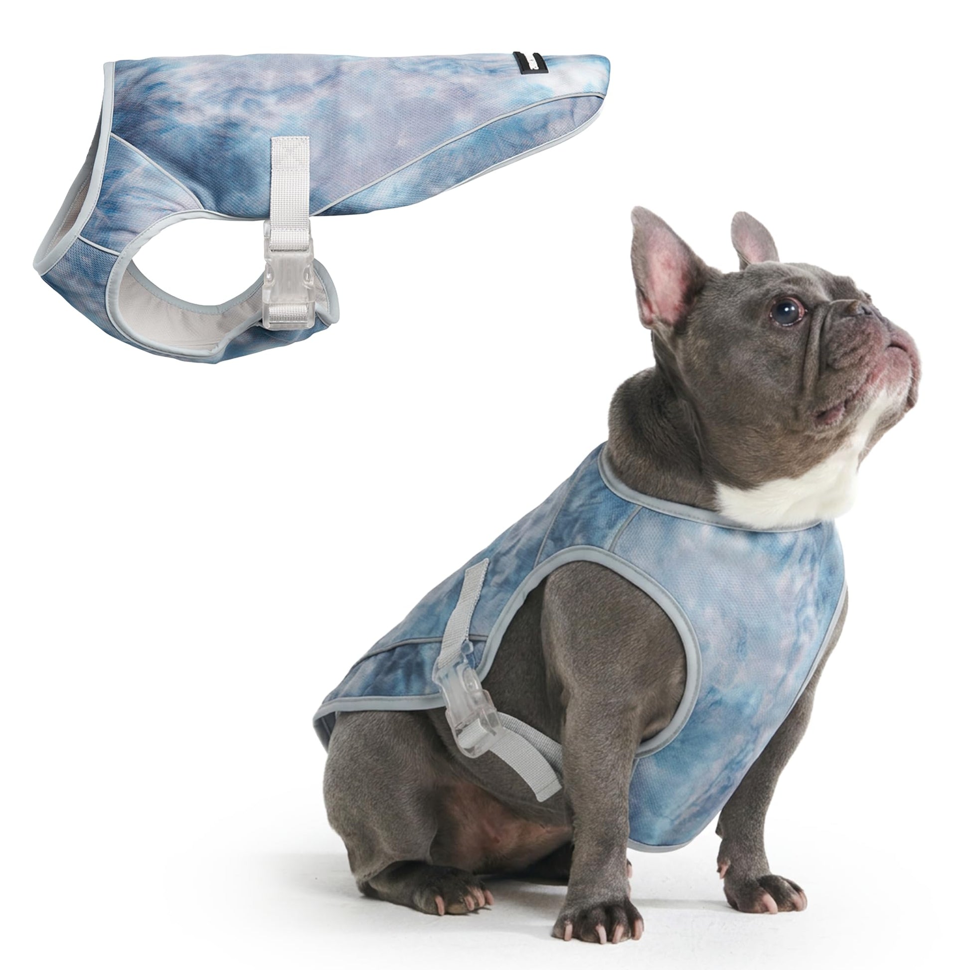 Spark Paws Dog Cooling Vest. Chosen for real quality, fits naturally into modern pet homes.