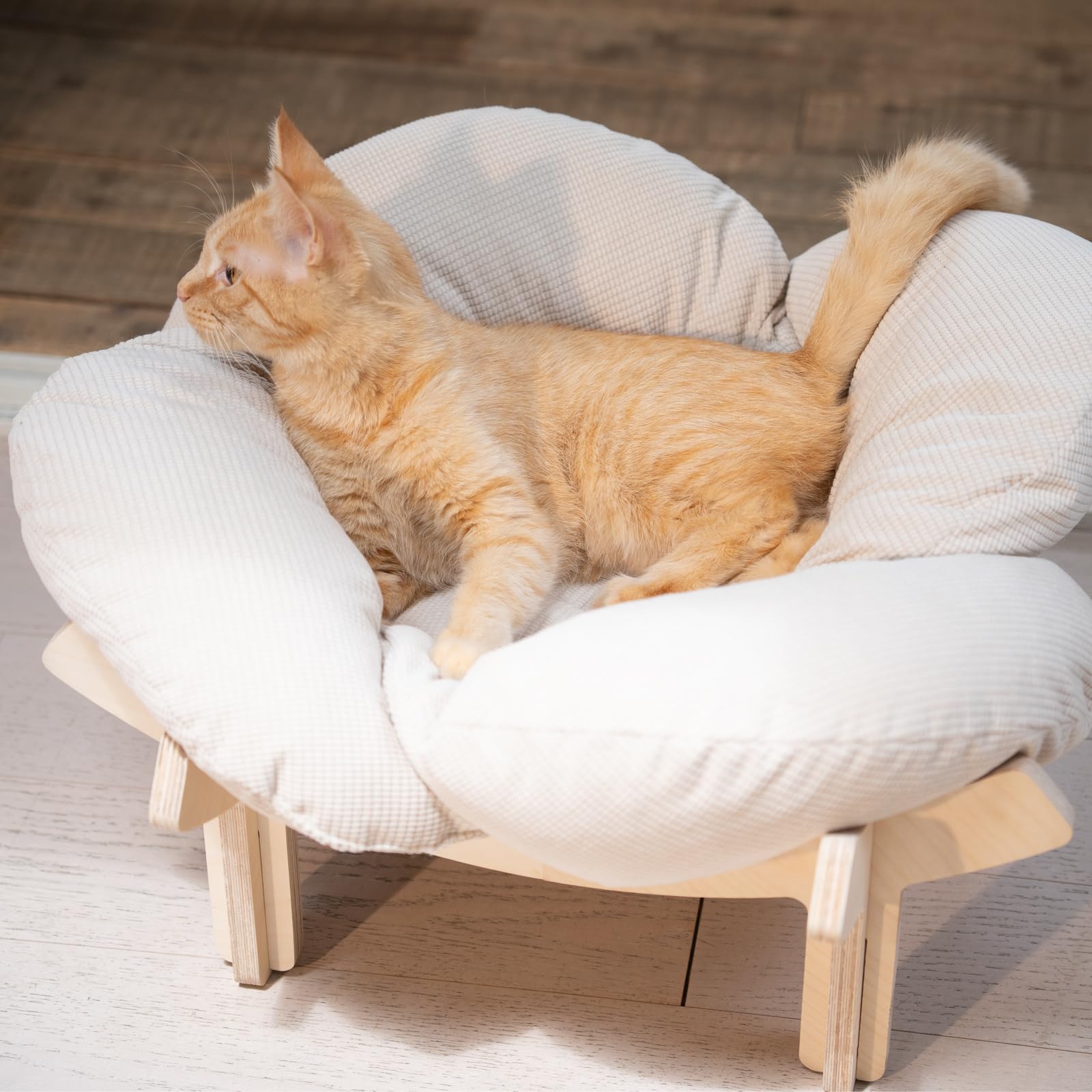 CHEERHOME PETS Elevated Cat Bed for Indoor Cats Couch. Chosen for real quality, fits naturally into