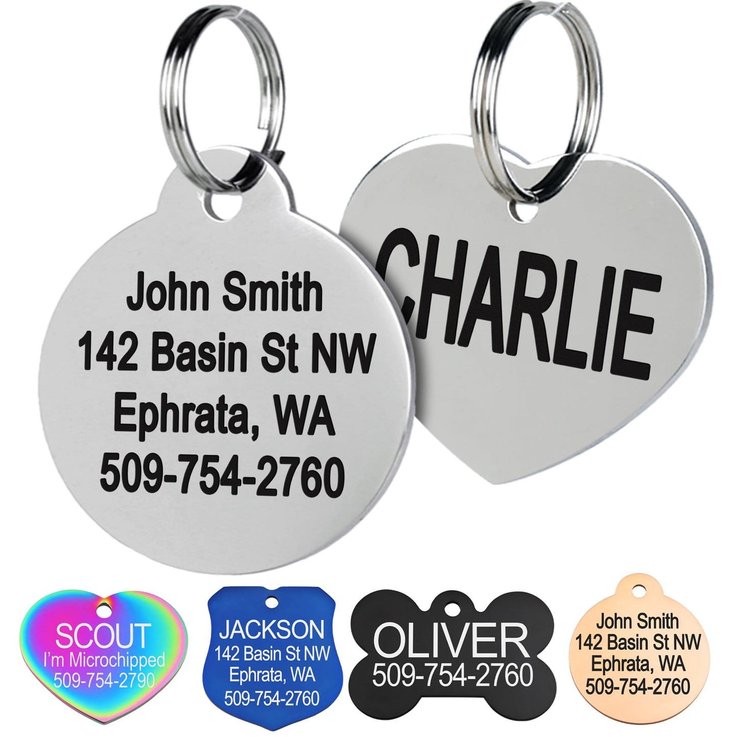 GoTags Stainless Steel Pet ID Tags. Chosen for real quality, fits naturally into modern pet homes.