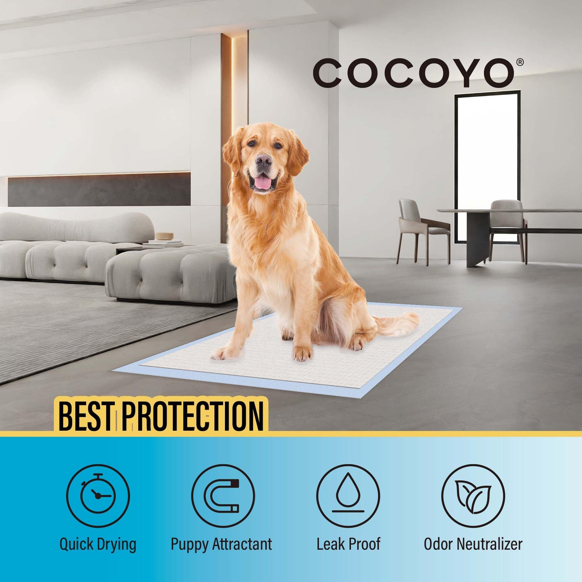 COCOYO Best Value 22"x22" Dog Training Pads 50 Count |. Chosen for real quality, fits naturally