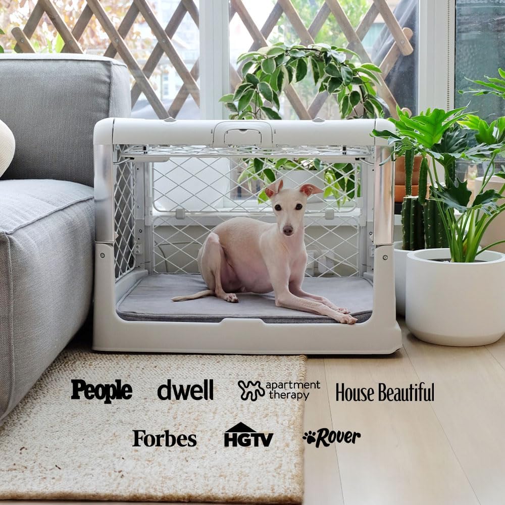 DIGGS Revol Collapsible Dog Crate with Wheels - Premium Portable Dog Crate - Safe, Stylish, and Convenient Indoor Kennel (Ash, Small)