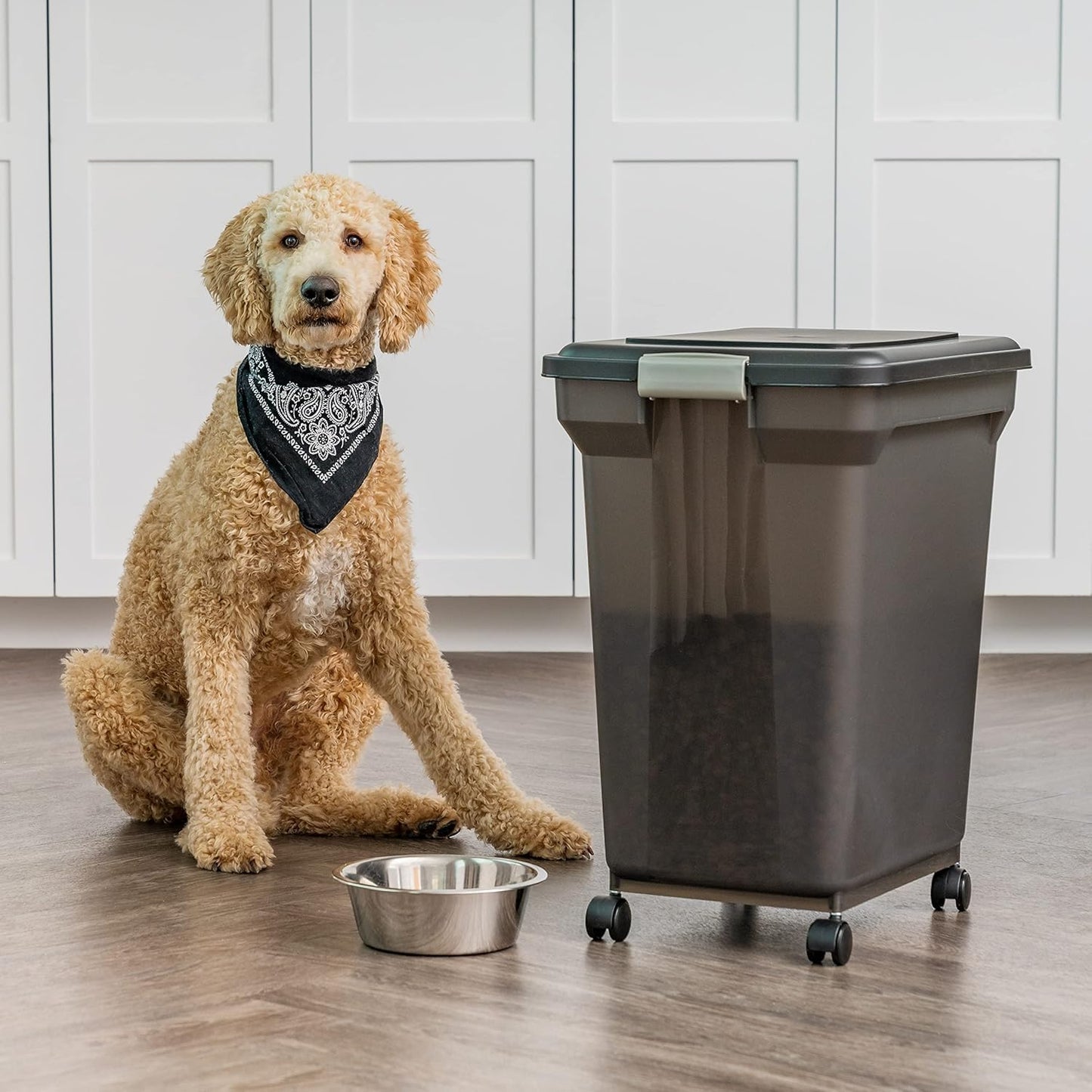 IRIS USA Dog Food Storage Container. Chosen for real quality, fits naturally into modern pet homes.