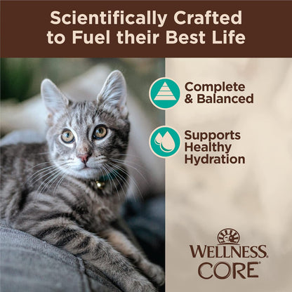 Wellness CORE Tiny Tasters Flaked Adult Wet Cat Food, Natural, Protein-Rich, Grain Free, 1.75-Ounce Pouch, 12 Pack, (Tuna & Salmon)