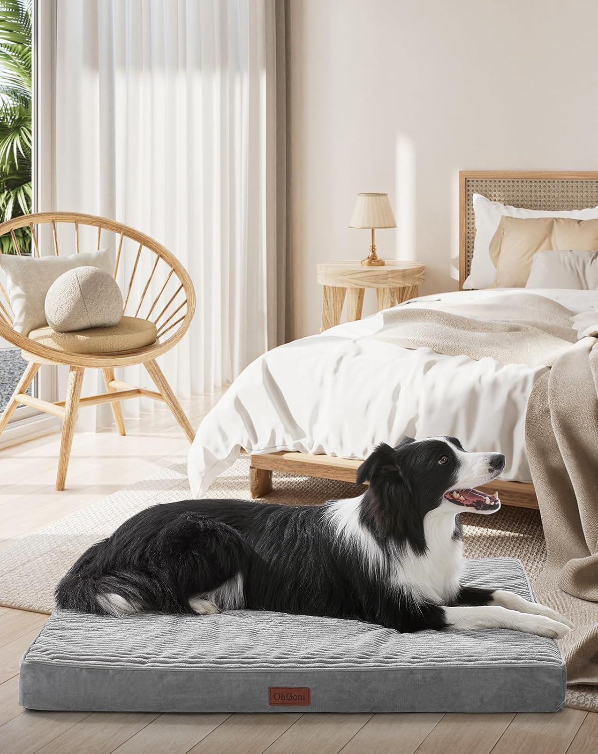 OhGeni Orthopedic Waterproof & Machine Washable Dog Bed for Medium Large Pets, Cat Mat with 25D Egg Crate Foam, Non-Slip Bottom & Removable Cover, Invisible Zipper, 36 Inches(Gray)