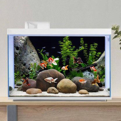 AWERT Vinyl Underwater Aquatic Plant Fish Tank Background Stone River Bed & Lake Aquarium Background 24x12 inches