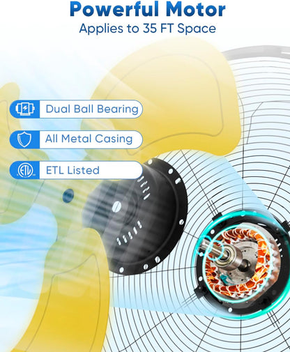 KEN BROWN 20 Inch Oscillating Wall Mount Fan, 4,460 CFM High Velocity Industrial Wall Fan for Indoor, Commercial, Residential, Warehouse, Greenhouse, Workshop, Basemen