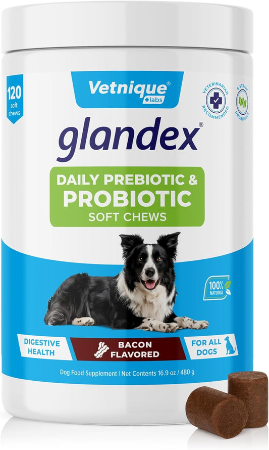 Vetnique Glandex Daily Probiotics for Dogs with Prebiotics to Support Gut Health with Fiber and