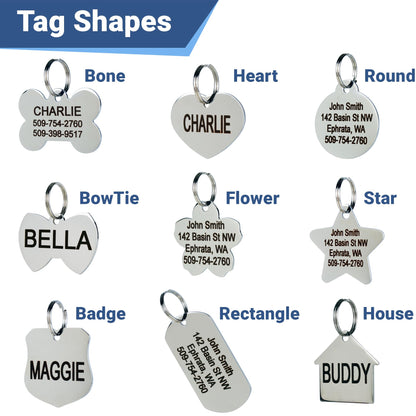 GoTags Stainless Steel Pet ID Tags. Chosen for real quality, fits naturally into modern pet homes.