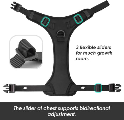 No Pull Dog Harness, Puppy Vest with Front Clip for Small Medium Large Sized Dog (Black,L)