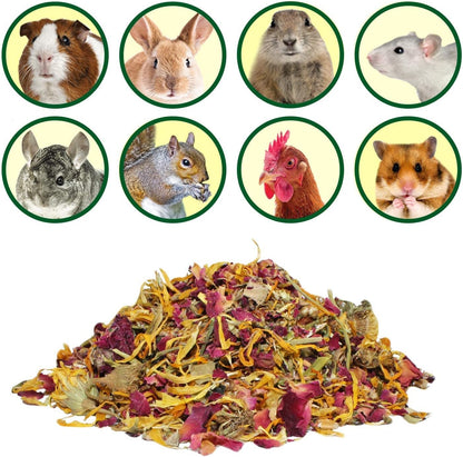 Flower Fusion Treat (1/2 lb) - Healthy Natural Dried Flower Herbivore Treat - Chinchillas, Guinea Pigs, Rabbits, Prairie Dogs, Degus, Hamsters, Rats, Squirrels, Sugar Gliders & Other Small Pets