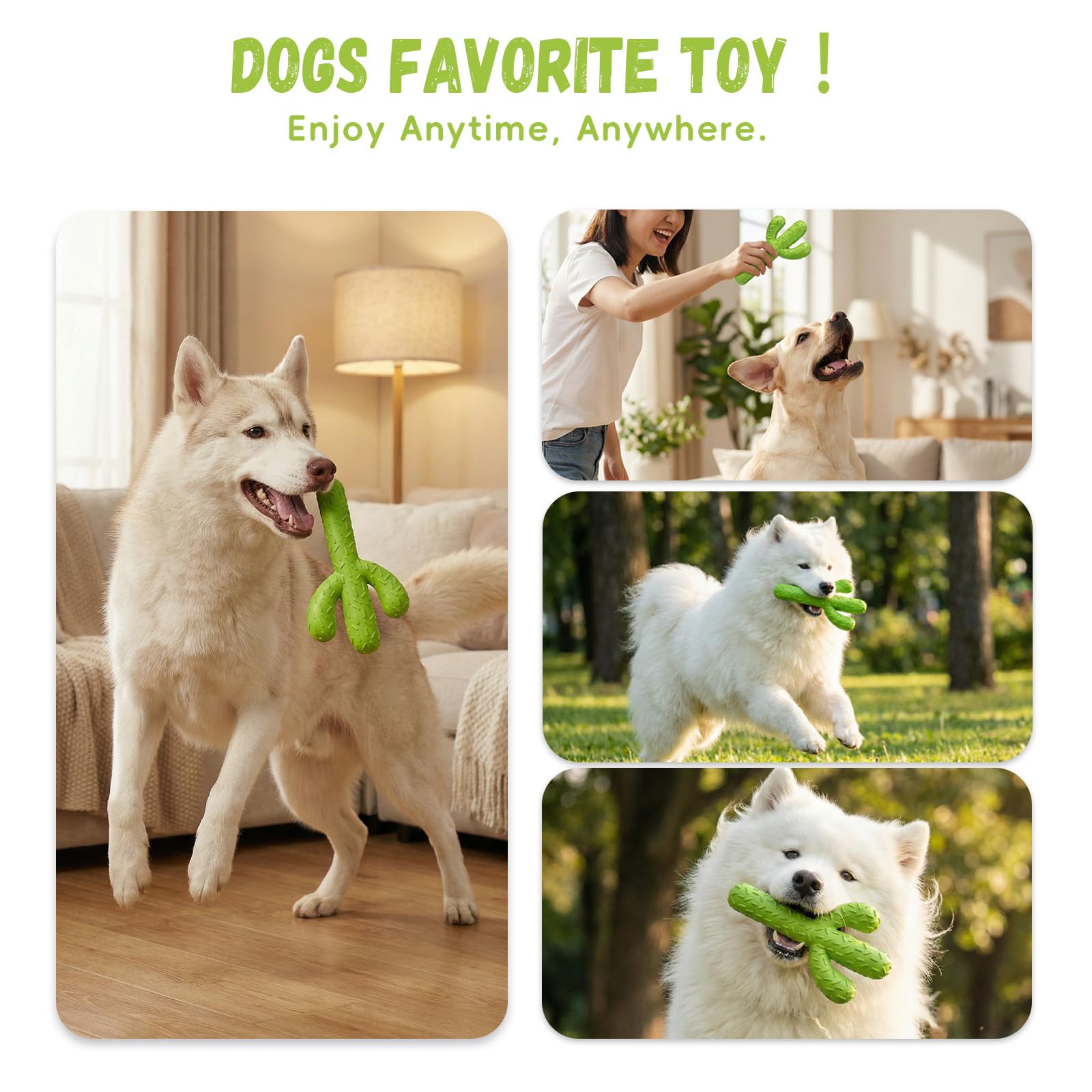 MewaJump Dog Chew Toys. Chosen for real quality, fits naturally into modern pet homes.