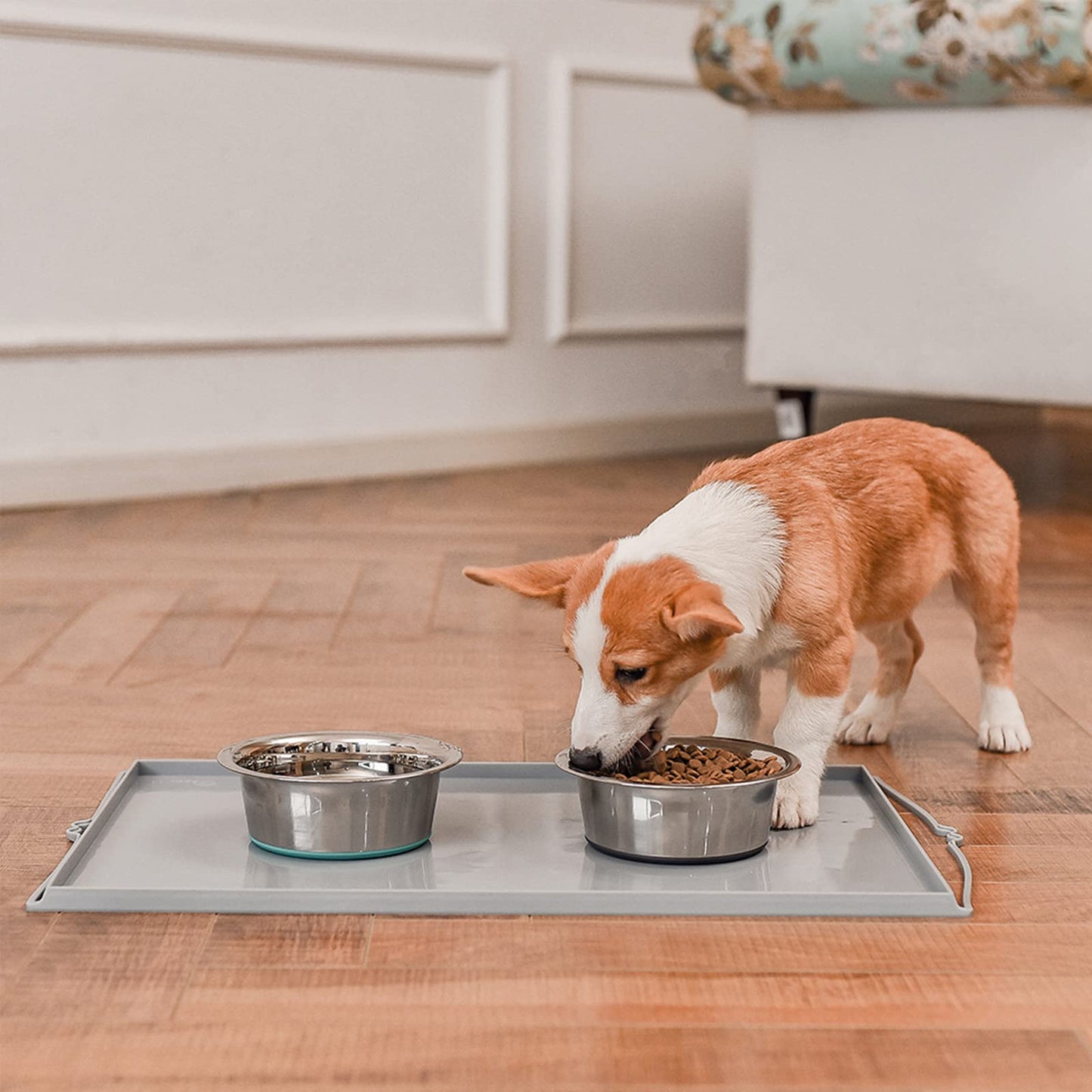 PEGGY11 Deep Stainless Steel Anti. Chosen for real quality, fits naturally into modern pet homes.
