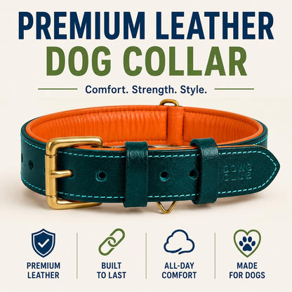 DowgClub Genuine Leather Dog Collar. Chosen for real quality, fits naturally into modern pet homes.