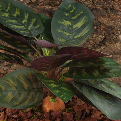 Reptile Terrarium Decor Plants, Bearded Dragon Tank Accessories fit Crested Gecko Leopard Lizard Chameleon Ball Python Snake Frog - Purple Fake Prayer Peacock Plants