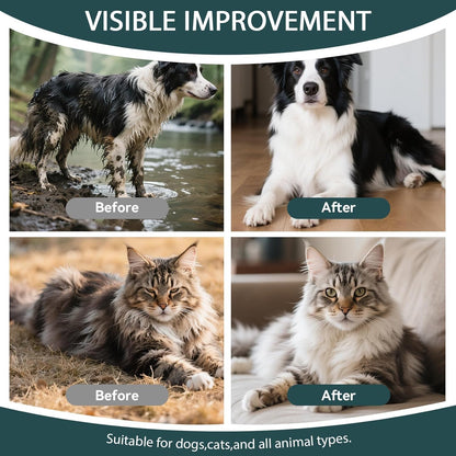 WLP 48 PCS Pet Cleaning and Deodorizing Glove Wipes for Dogs & Cats Hypoallergenic Pet Cleaning and Hydrating Glove Bath Wipes Enriched with Aloe & Jojoba Oil Individually Wrapped