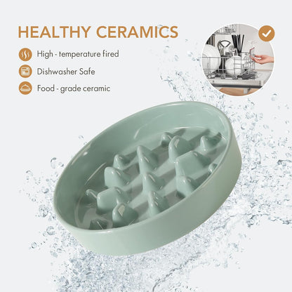 Ceramic 8.2 inch Dog Bowl Slow Feeder, Slow Pet Food Dish for Medium and Large Dog, Stop Bloat, Preventing Choking(Single Bowl, Light Green)