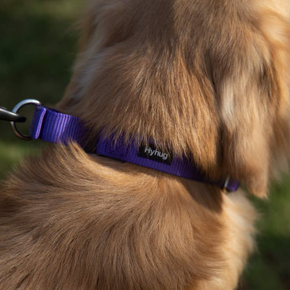 Hyhug Pets Premium Upgraded Heavy Duty Nylon Anti-Escape Martingale Collar for Boy and Girl Dogs Comfy and Safe - Daily Use Walking and Professional Training. (Large, Ultra Violet)