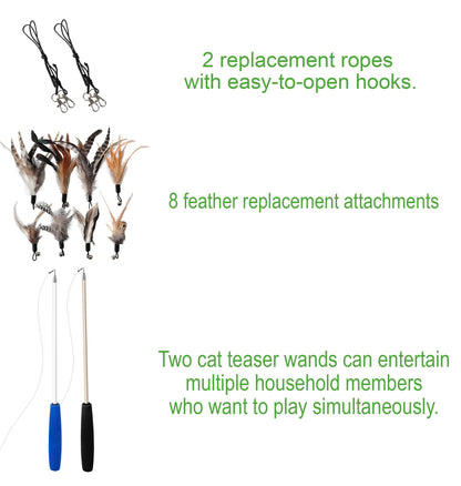 EcoCity Cat Toys. Chosen for real quality, fits naturally into modern pet homes.