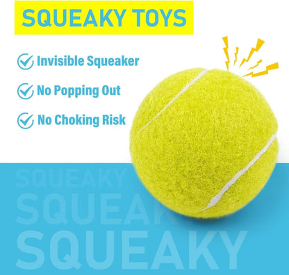 Prime Pets Tennis Balls for Dogs, 2.5 Inch Squeaky Dog Balls for Play & Fetch, Squeaky Tennis Balls for Medium, Large Dogs, Dog Toy Balls