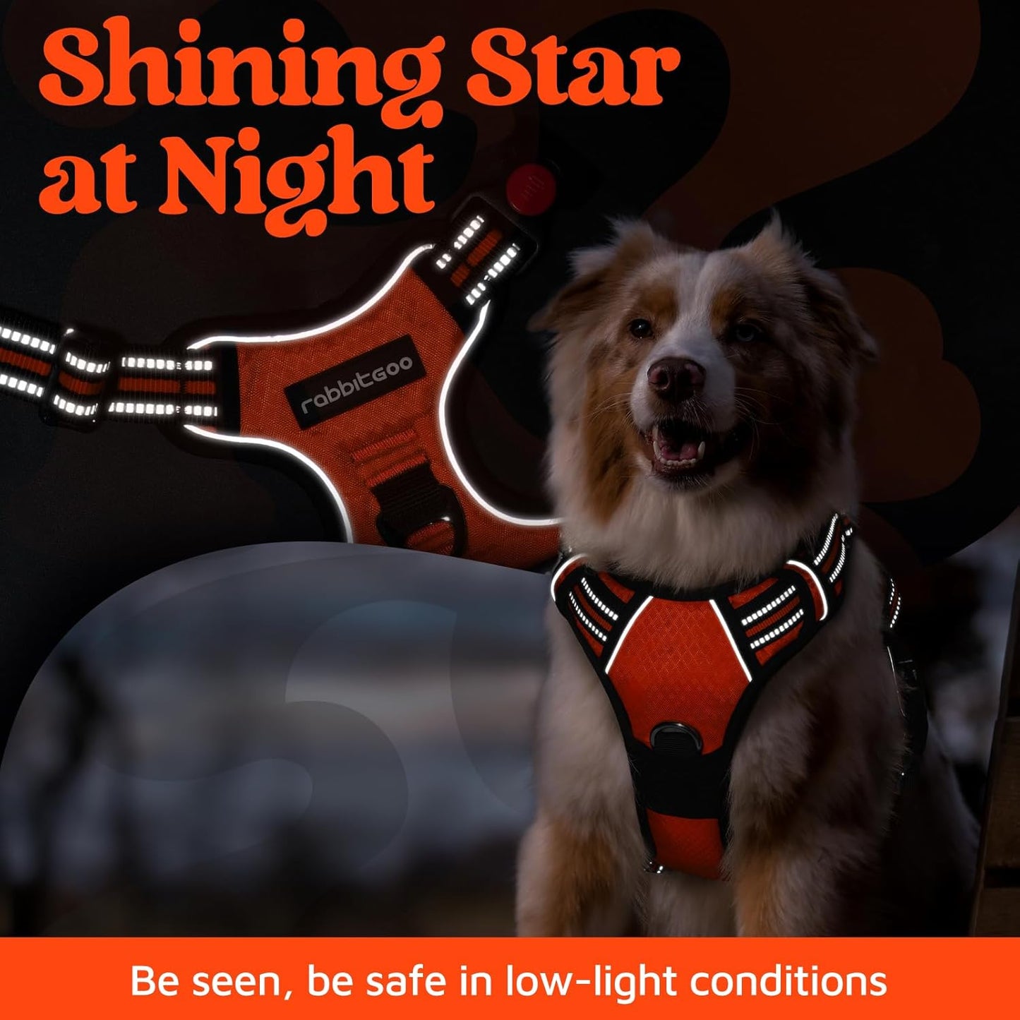 rabbitgoo Dog Harness Small Sized, No Pull Dog Vest with 3 Buckles, Adjustable Soft Padded Pet Harness with Easy Control Handle and Reflective Strips, Orange, S