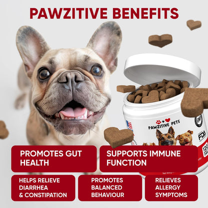 Probiotics for Dogs Digestive Health - Probiotic Chews for Gut Health, Itchy Skin Yeast, Diarrhea - USA Product - Immune Support Supplement - Dog Digestive Support & Allergy Relief Chews with Enzymes