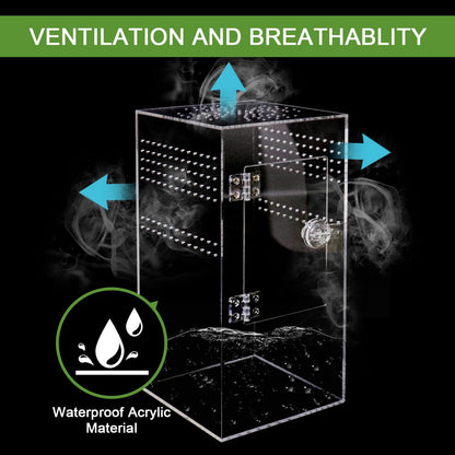 Spider Terrarium Kit, Jumping Spider Enclosure with Hideout, Rope Bridge, Ledge Ladder, Micro Habitat Terrarium for Small Tree Dwelling Reptiles, Arboreal Tarantula Enclosure (6x6x12 Inches)