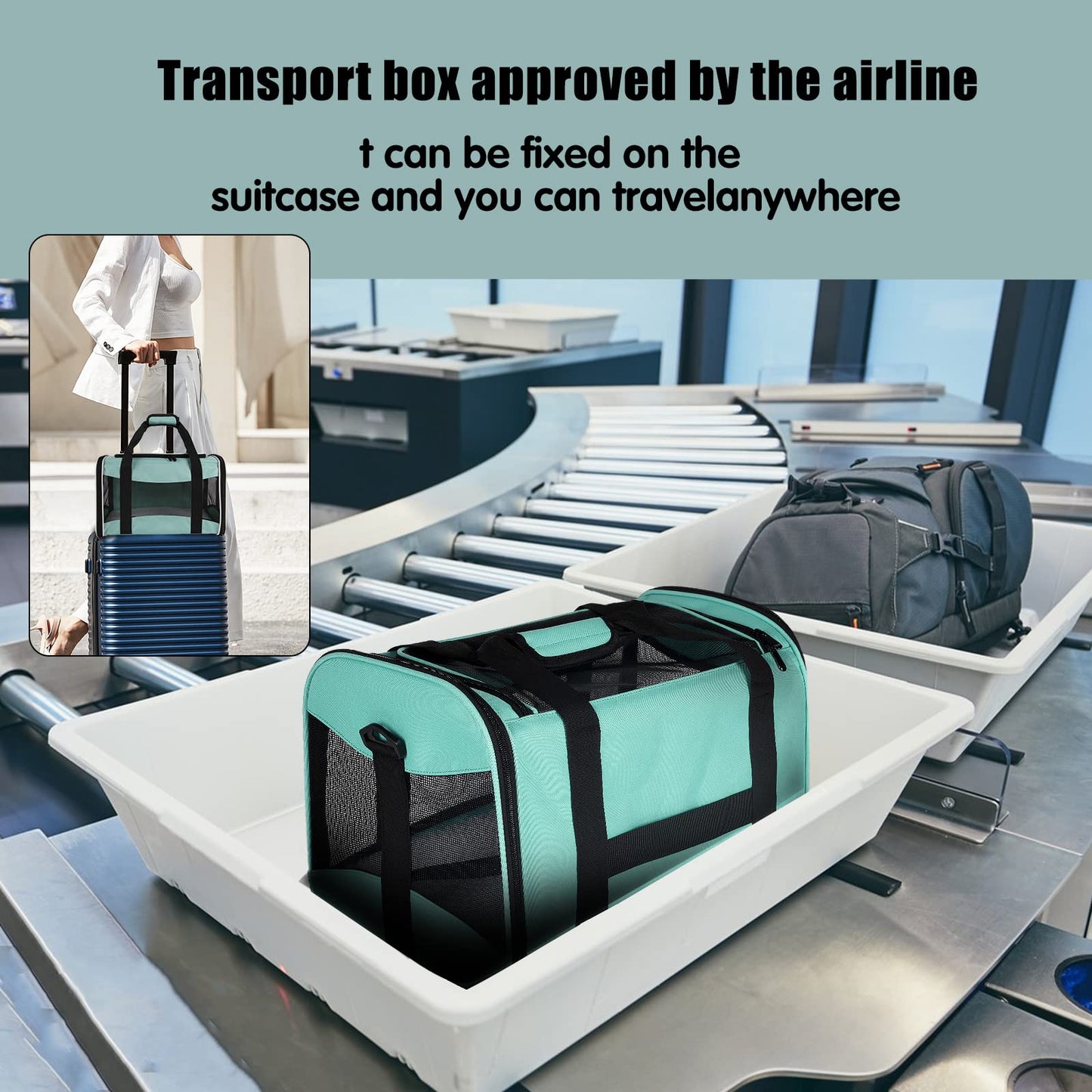 Cat Dog Carriers Soft. Chosen for real quality, fits naturally into modern pet homes.