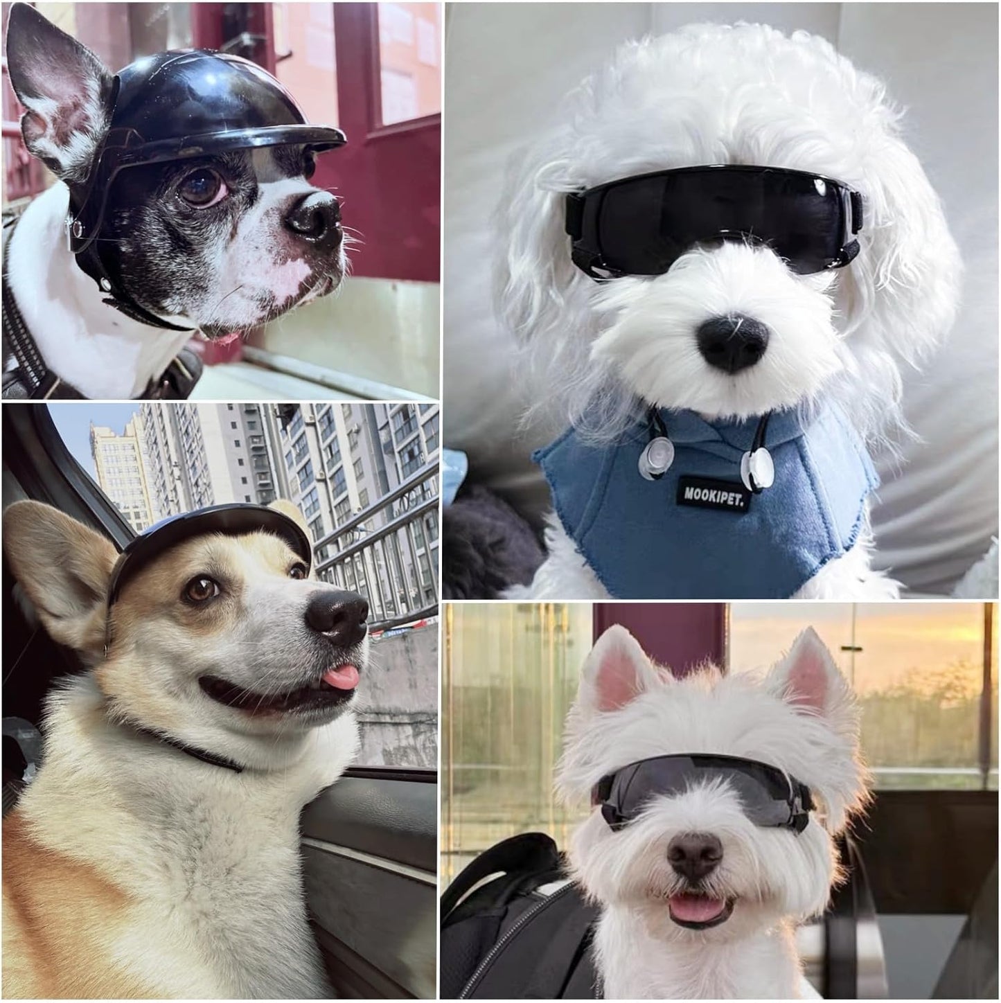 Namsan Small Dog Goggles and Helmet, Dog Motorcycle Helmet with UV Protection Sunglasses for Small Medium Breeds, Hard Doggie Hat with Ear Holes, Adjustable, Black