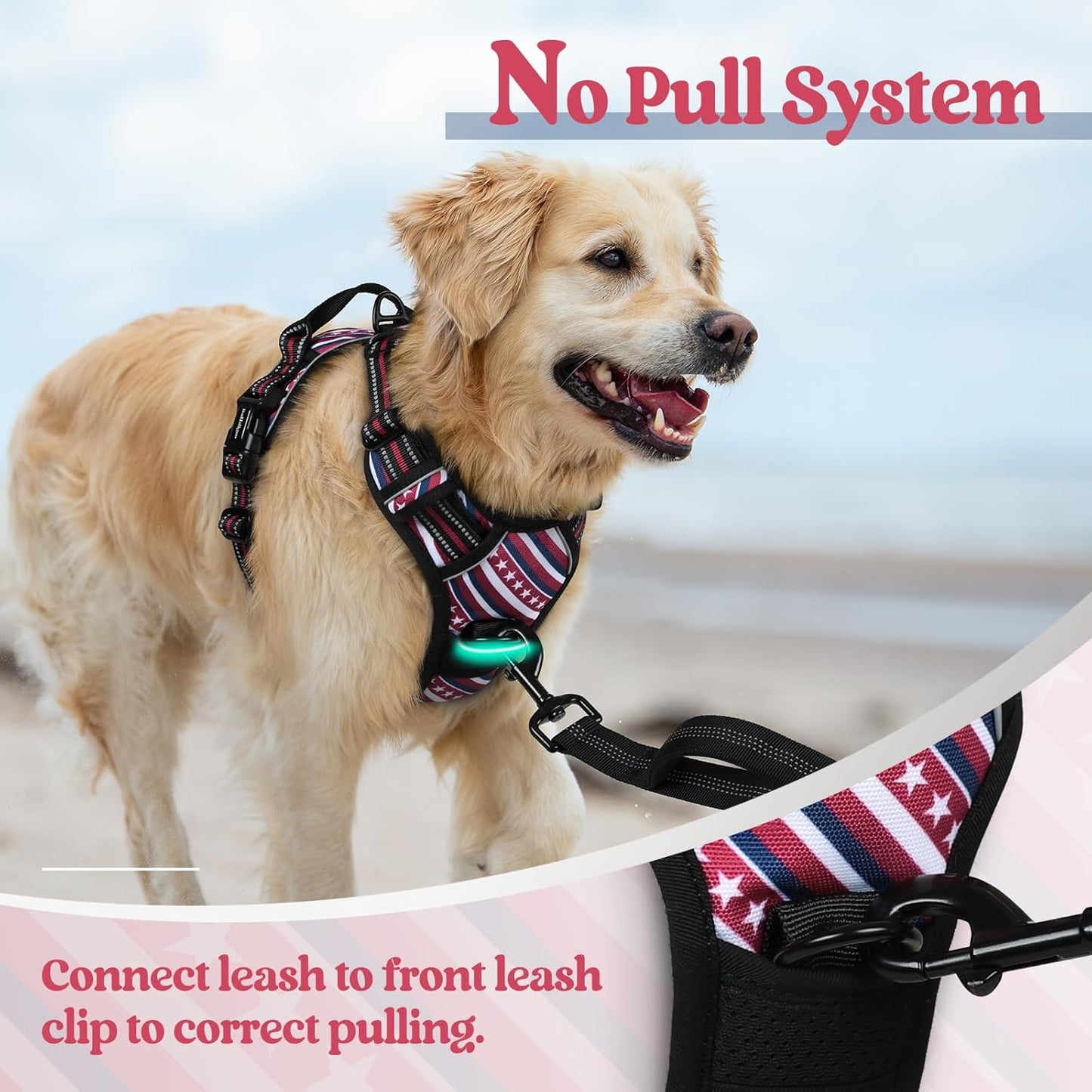 rabbitgoo Dog Harness No Pull with 2 Leash Clips, Adjustable Soft Padded, Reflective Oxford No Choke Pet Vest with Easy Control Handle for Large Dogs, Red Stripe, S