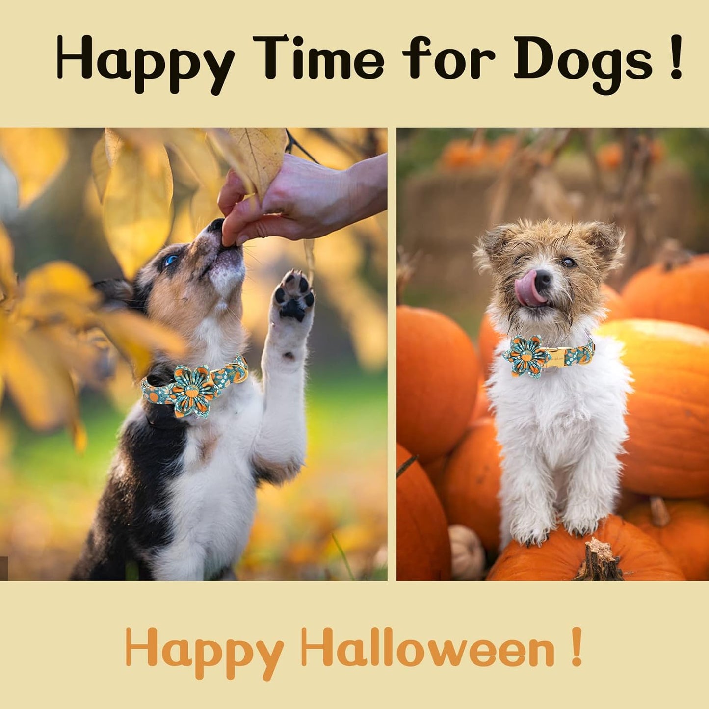 Unique style paws Halloween Dog Collar with Flower Tie Pumpkin Cotton Collar Adjustable Puppy Collar for Small Medium Large Dogs-M