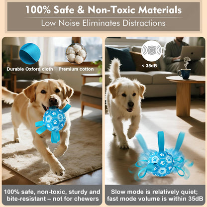 Qraxond Interactive Dog Toys Dog Soccer Ball to Keep. Chosen for real quality, fits naturally into