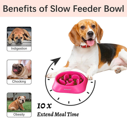 MateeyLife 2. Chosen for real quality, fits naturally into modern pet homes.
